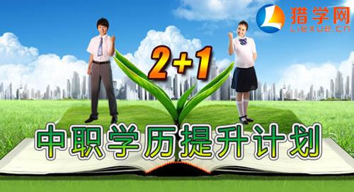 ҵѧУ2+1